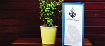 Hotel Steyne image
