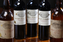 Mount Pleasant Image